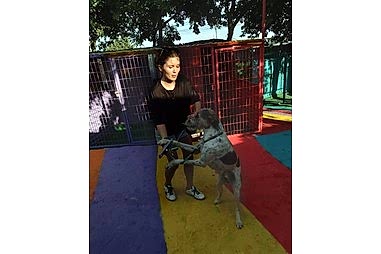 Kedi & Köpek Oteli