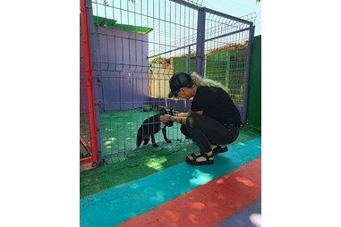 Kedi & Köpek Oteli