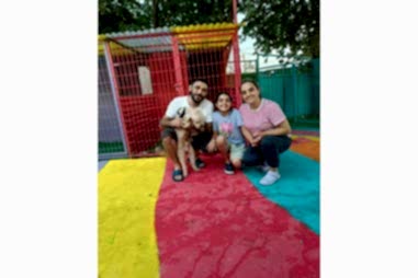 Kedi & Köpek Oteli