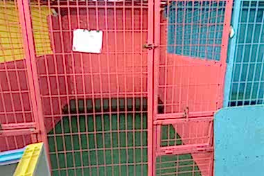 Kedi & Köpek Oteli
