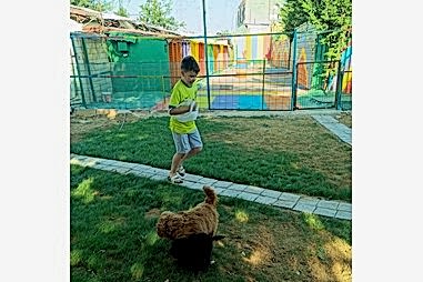 Kedi & Köpek Oteli