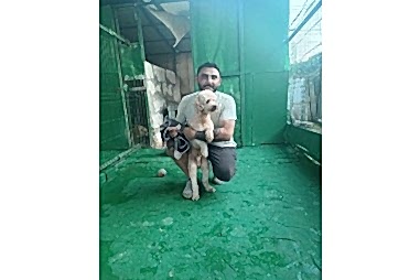 Kedi & Köpek Oteli