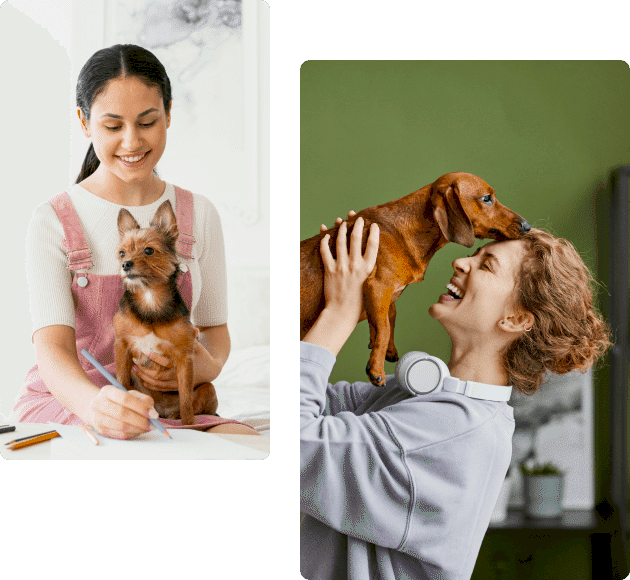 Kedi & Köpek Oteli
