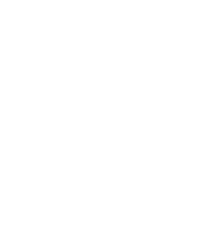 Kedi & Köpek Oteli