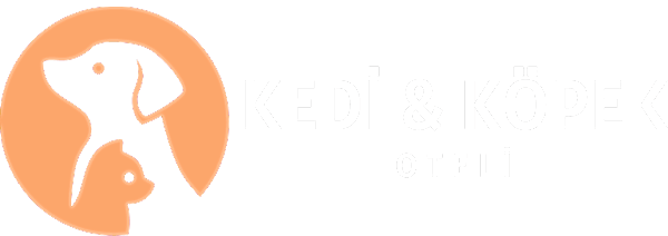 Kedi & Köpek Oteli